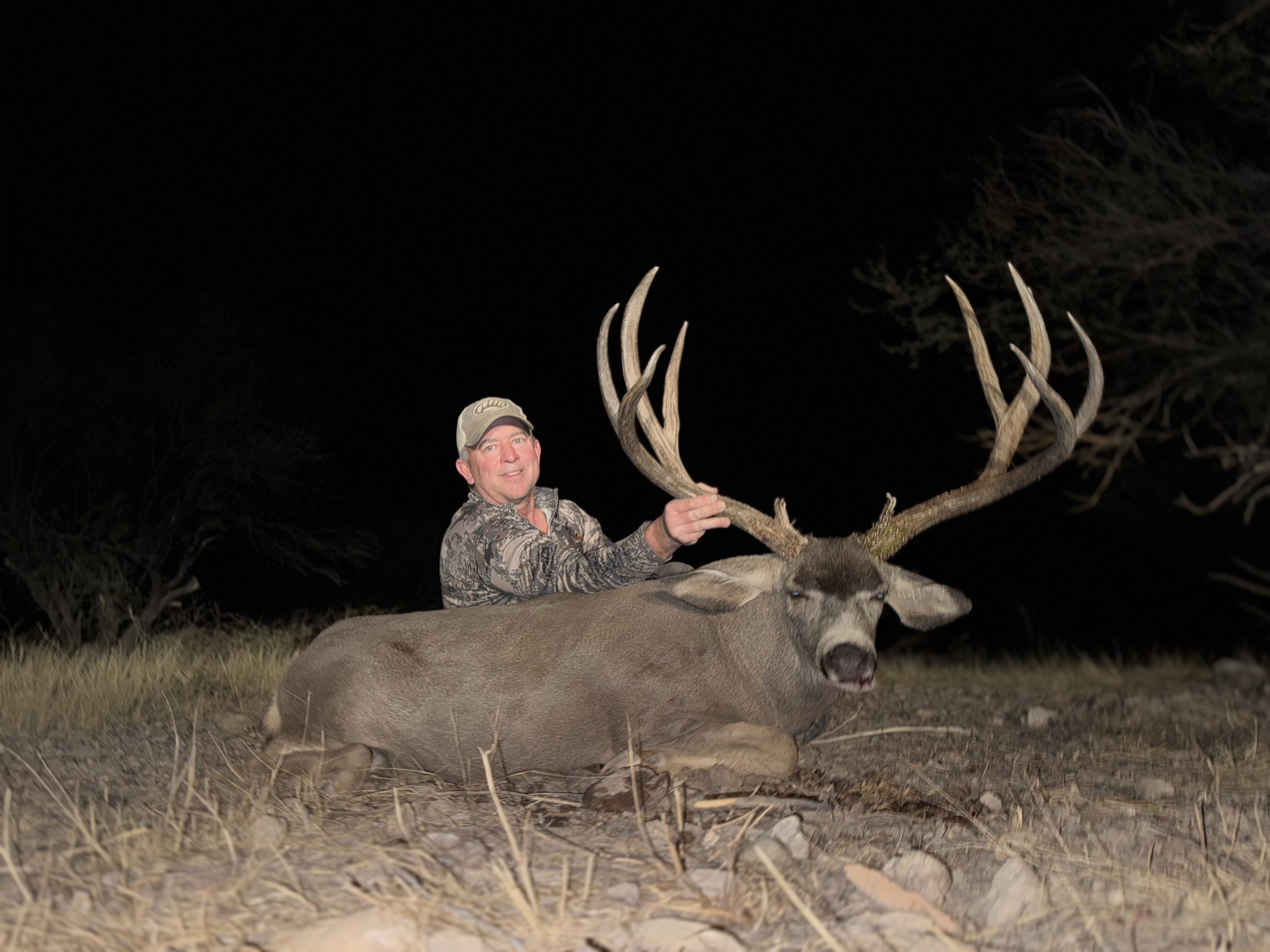 TYPICAL MULE DEER