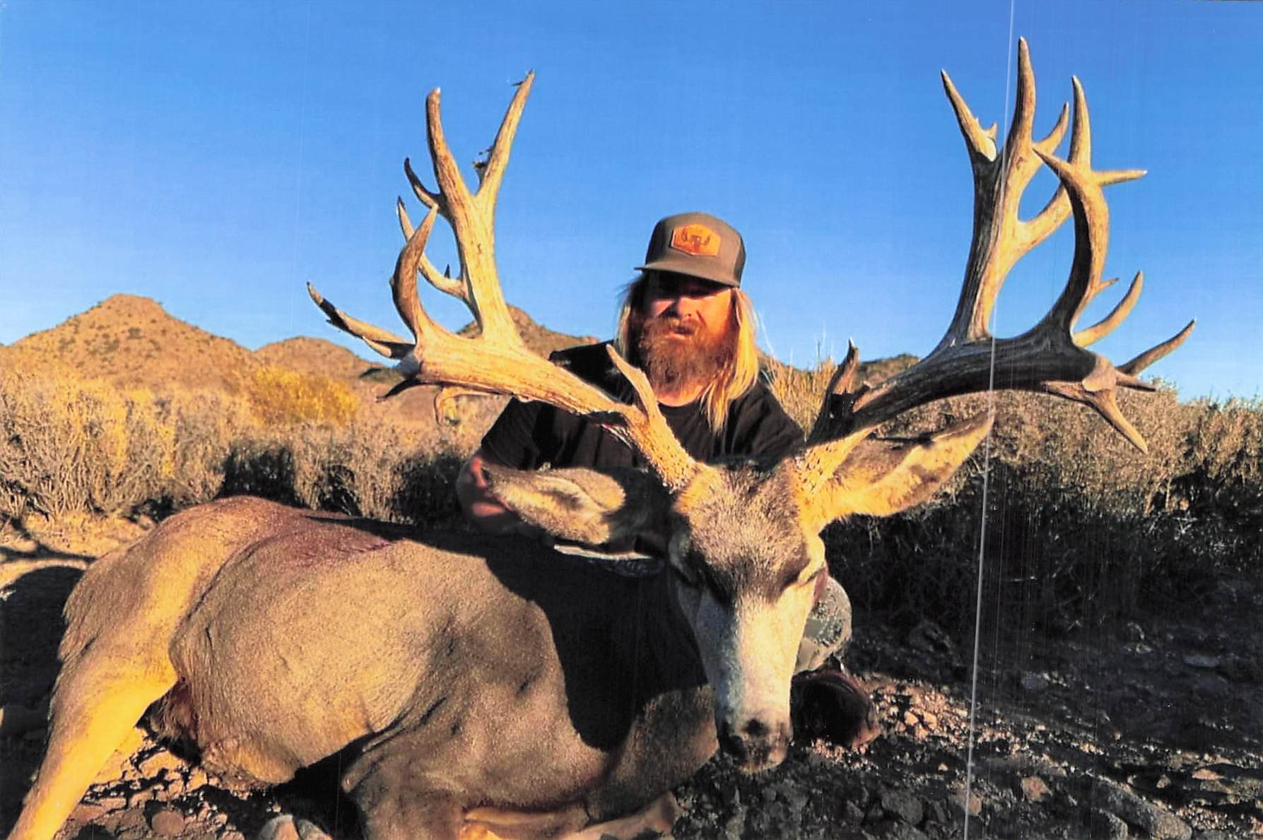 NON-TYPICAL MULE DEER