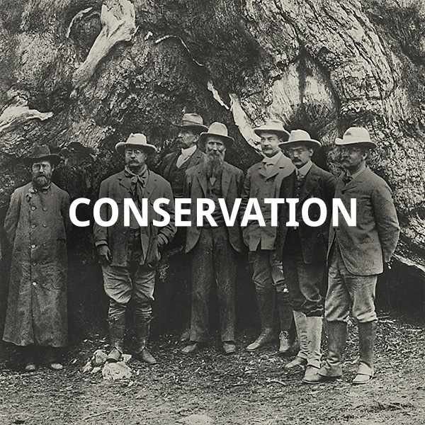 about-conservation.jpg