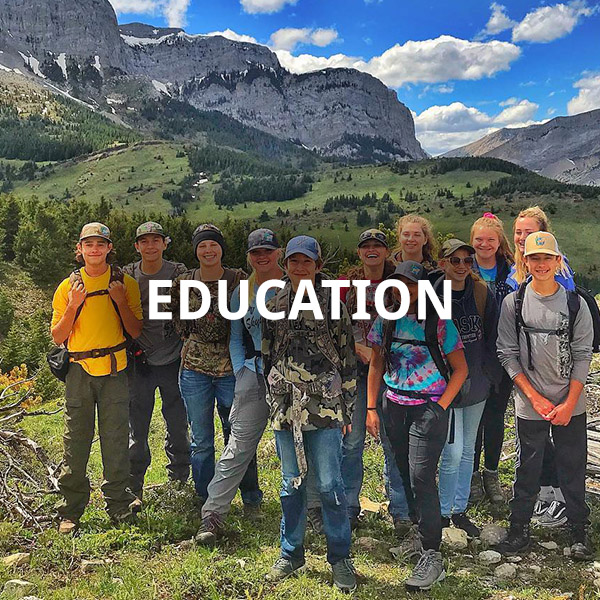 about-education.jpg