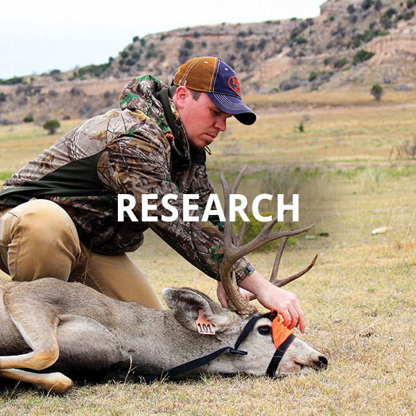 about-research.jpg